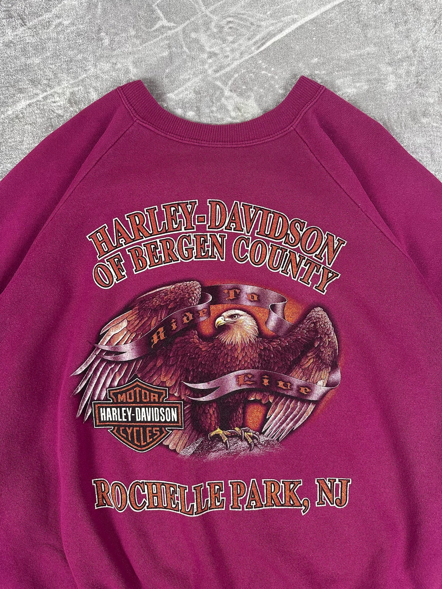 Vintage 90s Blank Harley Davidson of Bergen County Ride to Live Rochelle NJ Reprint Sweatshirt (L)