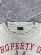 Vintage 1991 St. Louise Cardinals Looney Tunes MLB T-Shirt (L)